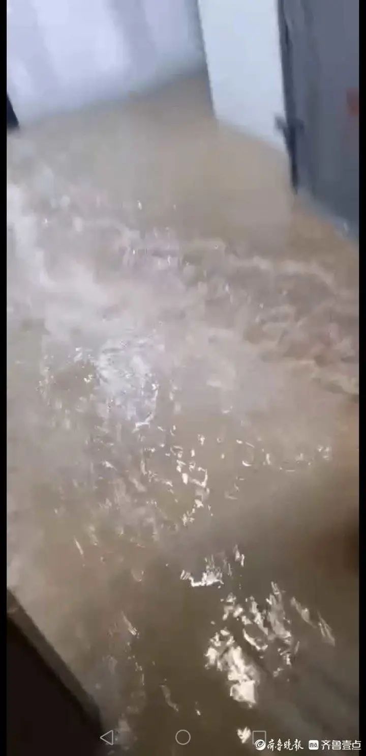 DƬ